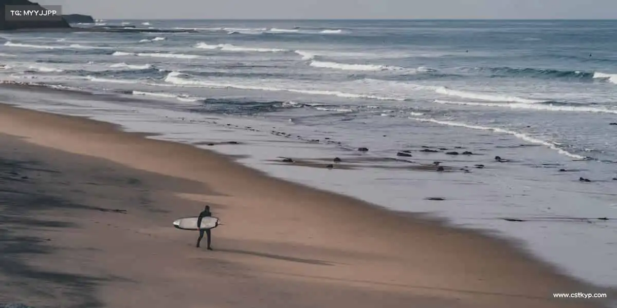米兰官网🏋️♀️汗水浇筑梦想,赛场见证辉煌!